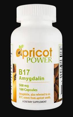 Apricot Power - B17 (Amygdalin) 500 mg - 100 Tablets