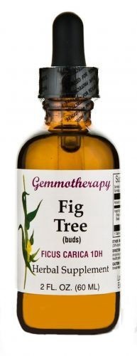 Boiron - Fig Tree/Ficus Carica - 2 fl. oz (60 ml)