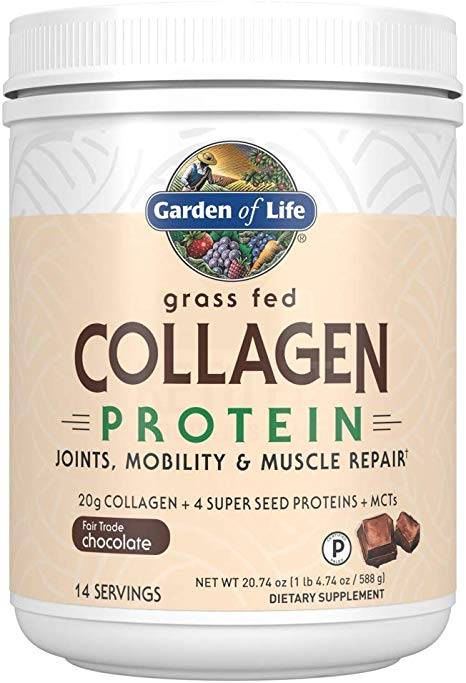 Garden of Life - Grass Fed Collagen Protein Powder, Chocolate - 20.74
