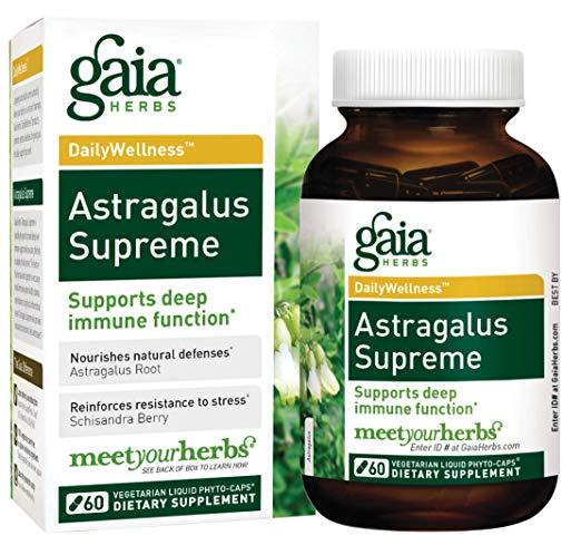 Gaia Herbs - Astragalus Supreme - 4 fl. oz (120 ml)