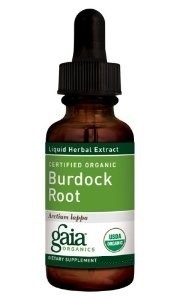 Gaia Herbs - Burdock Root (Organic) - 4 fl. oz (120 ml)