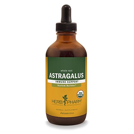 Herb Pharm - Astragalus - 4 fl. oz (120 ml)