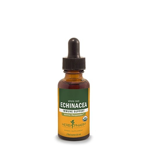 Herb Pharm - Echinacea - 1 fl. oz (30 ml)