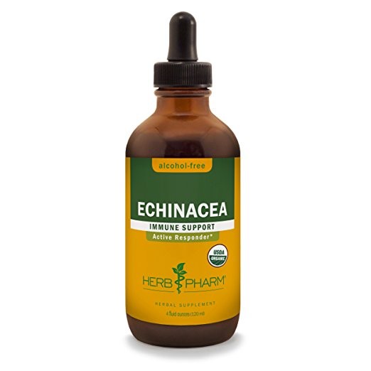 Herb Pharm - Echinacea Alcohol-Free - 4 fl. oz (120 ml)